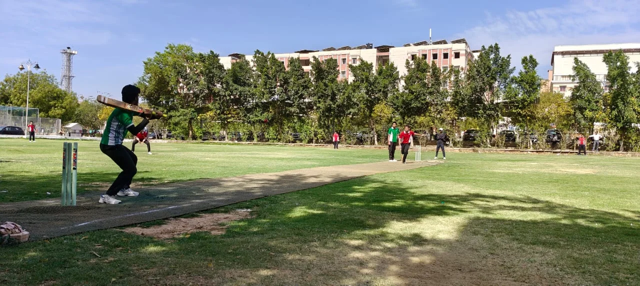 Cricket